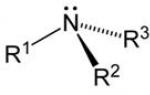 Nitrogen-containing substances with alkaline properties are called