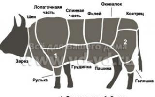 고기 요리 방법: 쇠고기, 칠면조 고기, 닭고기, 양고기를 요리하는 데 걸리는 시간