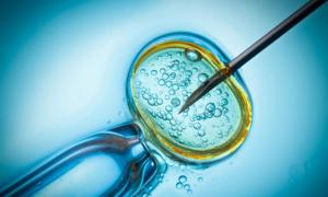 기증자 정자가있는 IVF : 징후, 기능, 리뷰