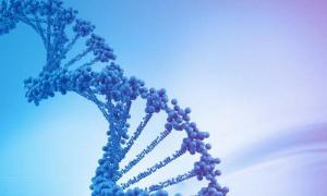 Investigation of DNA fragmentation in sperm