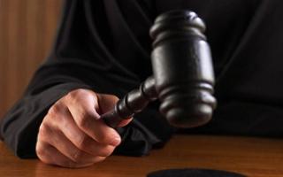 Práctica judicial en Alimonia: ¿Para qué preguntas se recurren a la ayuda de la justicia?