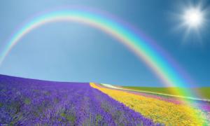 What does it mean when a rainbow dreams