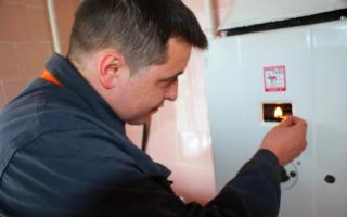Why the gas water heater does not light up: faults, do-it-yourself repairs