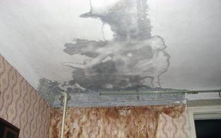 Žiadosť o opravu strechy: ako správne zostaviť